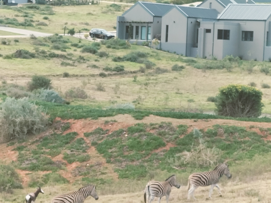0 Bedroom Property for Sale in Outeniquasbosch Western Cape